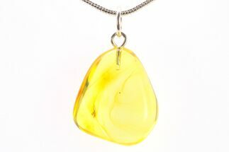 Polished Baltic Amber Pendant (Necklace) - Contains Spider! #288764