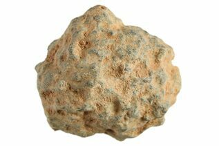 Bechar 003 Meteorites For Sale