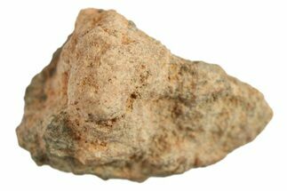 Lunar Meteorite ( g) - Bechar #288464