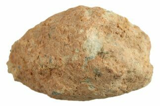 Lunar Meteorite ( g) - Bechar #288465