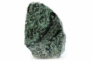 Free-Standing, Single-Side Polished Kambaba Jasper - Madagascar #289405