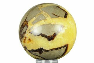 Polished Septarian Sphere - Madagascar #289927