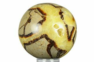 Polished Septarian Sphere - Madagascar #289929
