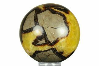 Polished Septarian Sphere - Madagascar #289931