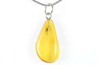 Polished Baltic Amber Pendant (Necklace) - Contains Fly! #288819