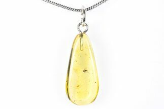 Polished Baltic Amber Pendant (Necklace) - Contains Fly! #288841