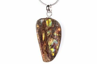 Brilliant Ammolite Pendant (Necklace) - Alberta, Canada #290125