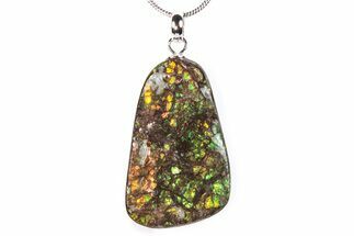 Brilliant Ammolite Pendant (Necklace) - Alberta, Canada #290129