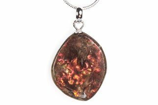 Brilliant Ammolite Pendant (Necklace) - Alberta, Canada #290131