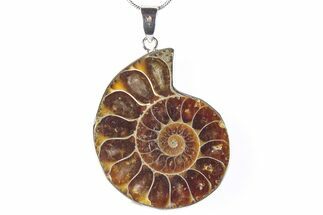 Fossil Ammonite Pendant - Million Years Old #290156