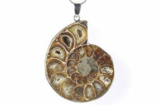 Fossil Ammonite Pendant - Million Years Old #290165