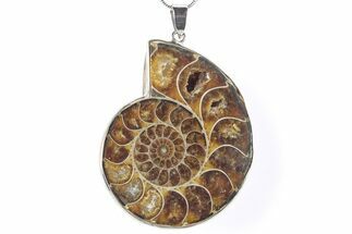 Fossil Ammonite Pendant - Million Years Old #290174