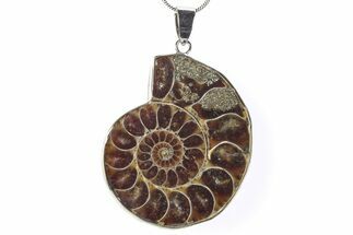 Fossil Ammonite Pendant - Million Years Old #290178