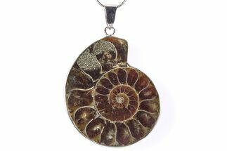 Fossil Ammonite Pendant - Million Years Old #290179