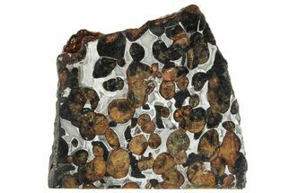 Polished Sericho Pallasite Meteorite ( g) Slice - Kenya #291268