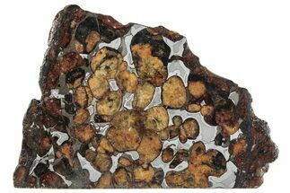 Polished Sericho Pallasite Meteorite ( g) Slice - Kenya #291275
