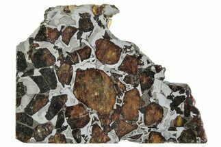 Brahin Pallasite Meteorite ( g) Slice - Belarus #291287