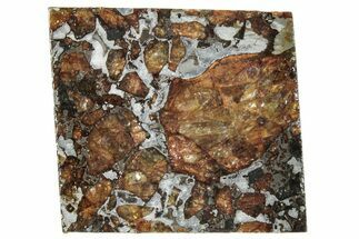 Brahin Pallasite Meteorite ( g) Slice - Belarus #291288