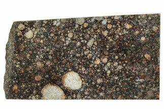 LL Chondrite Meteorite ( g) Slice - NWA #291384