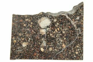 LL Chondrite Meteorite ( g) Slice - NWA #291391