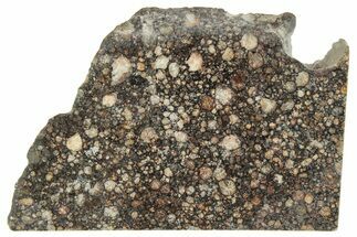 LL Chondrite Meteorite ( g) Slice - NWA #291401