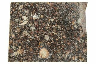 LL Chondrite Meteorite ( g) Slice - NWA #291404