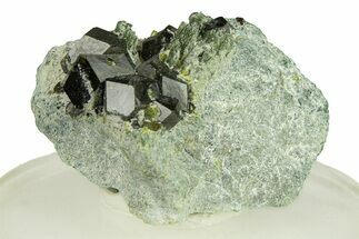 Gemmy Andradite Garnets with Diopside - Afghanistan #290356