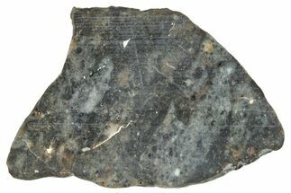 Lunar Meteorite ( g) Slice - Laayoune #291632