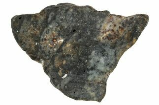 Lunar Meteorite ( g) Slice - Laayoune #291646