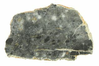 Bechar 003 Meteorites For Sale