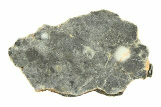 Lunar Meteorite ( g) Slice - Bechar #291684