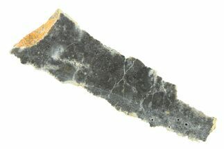 Lunar Meteorite ( g) Slice - Bechar #291701