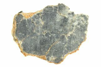 Lunar Meteorite ( g) Slice - Bechar #291705