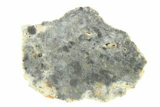 Lunar Meteorite ( g) Slice - Bechar #291707