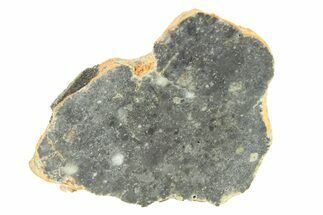 Lunar Meteorite ( g) Slice - Bechar #291708