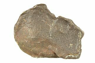 Gebel Kamil Iron Meteorite Fragment ( g) - Egypt #291810