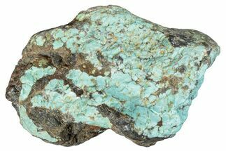 Tumbled Turquoise Section - Number Mine, Carlin, NV #292279