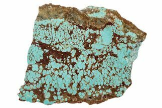 Polished Turquoise Section - Number Mine, Carlin, NV #292323