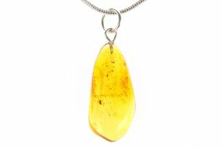 Polished Baltic Amber Pendant (Necklace) - Contains Fly! #288865