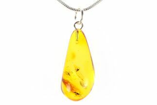 Polished Baltic Amber Pendant (Necklace) - Contains Two Flies! #288866