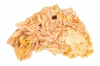 Bright Orange-Pink Bladed Barite Cluster - Morocco #292921