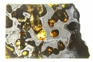 Brenham Pallasite Meteorite ( g) Slice - Kansas #294794