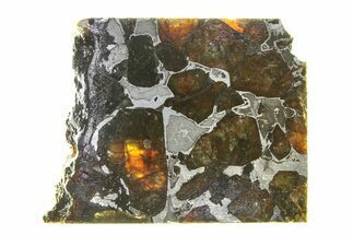 Brahin Pallasite Meteorite ( g) Slice - Belarus #294821