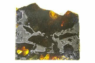 Polished Admire Pallasite Meteorite ( g) Slice - Kansas #294843
