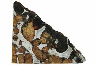 Polished Sericho Pallasite Meteorite ( g) Slice - Kenya #294865