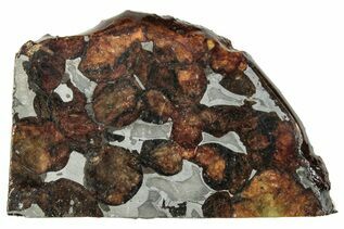 Sericho Pallasites For Sale