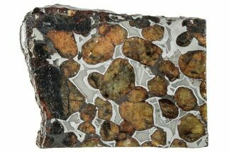 Polished Sericho Pallasite Meteorite ( g) Slice - Kenya #294885