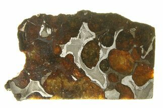 Polished Sericho Pallasite Meteorite ( g) Slice - Kenya #294888