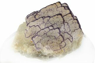 Purple Edge Fluorite - Qinglong Mine, China #295048