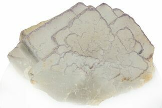 Purple Edge Fluorite - Qinglong Mine, China #295052